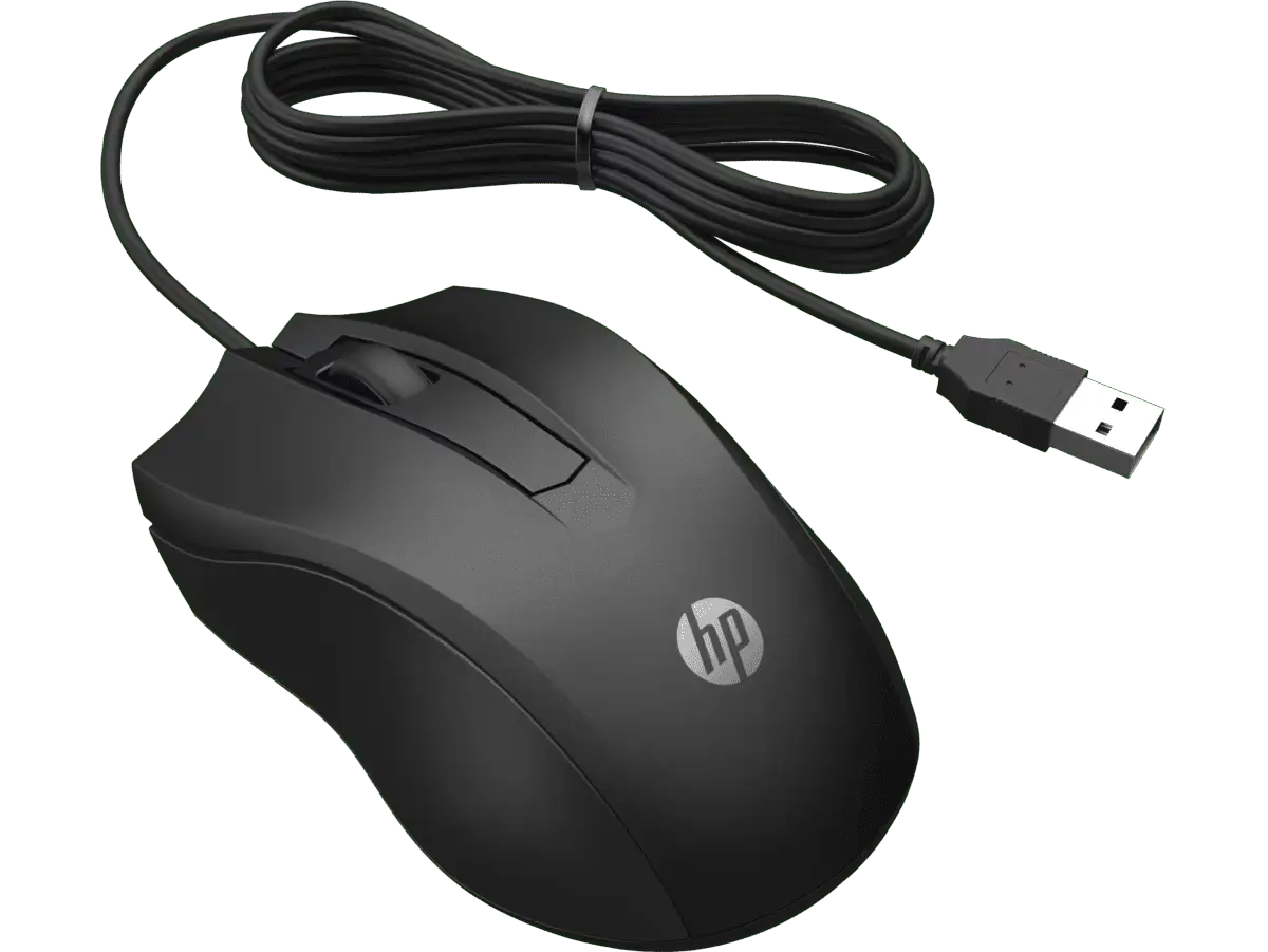 Mouse HP 100