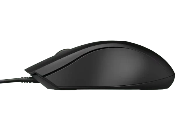 Mouse HP 100