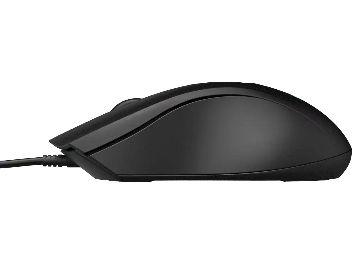 Mouse HP 100